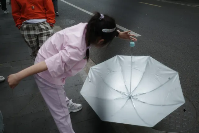 雨后喜悦